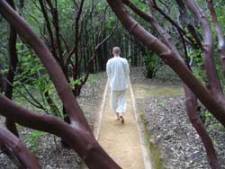loop meditatie